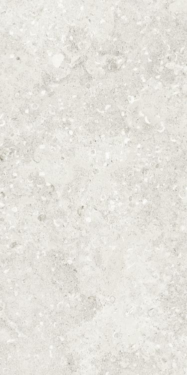 Sea Luster Bianca Matte 24 x 48